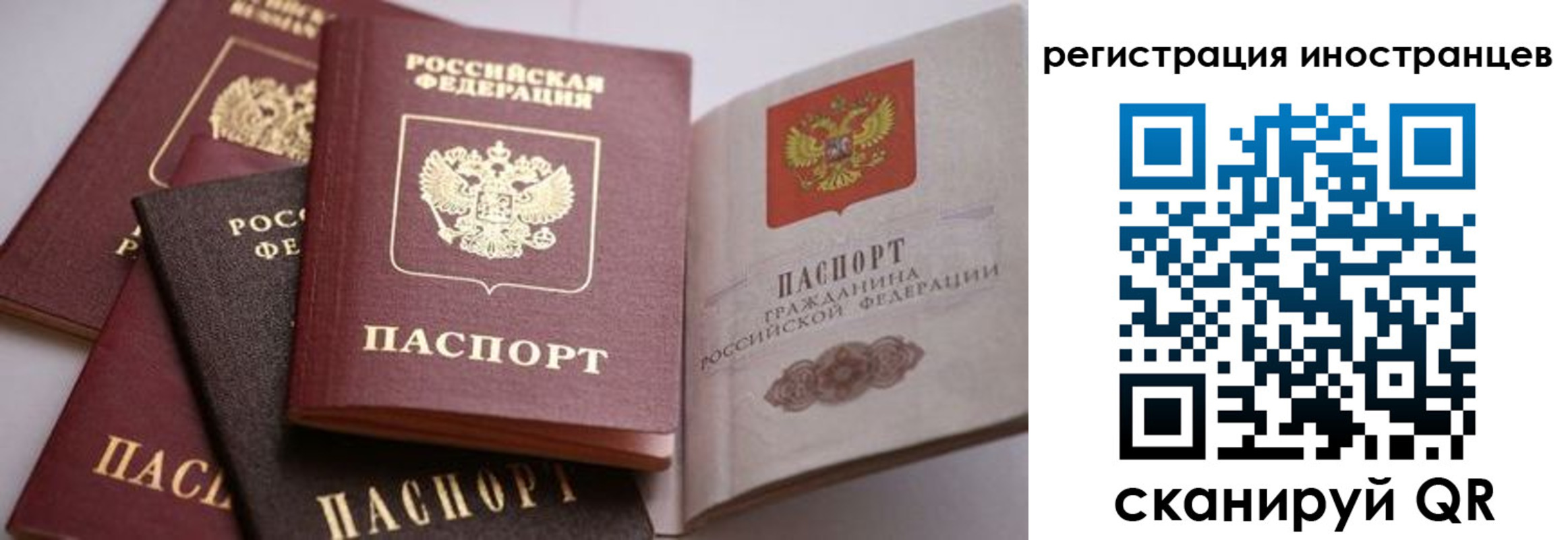прописка штамп в Рыбинске